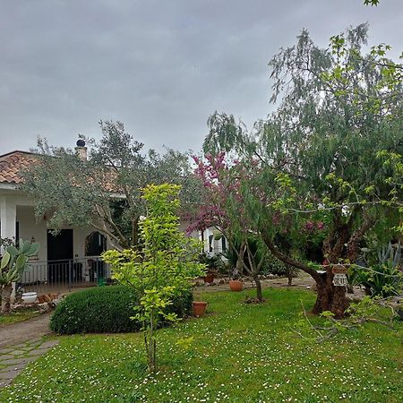 Lanuvio La Casa Di Fede酒店 外观 照片